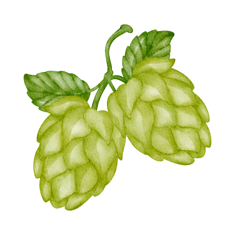 Alt image