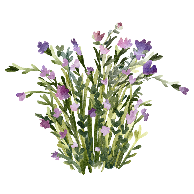 Alt image