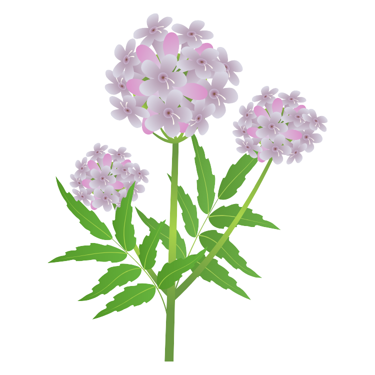 Alt image